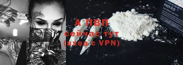 эйфоретик Новодвинск
