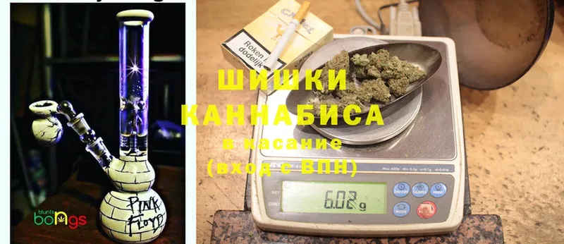 Каннабис Bruce Banner  Злынка 