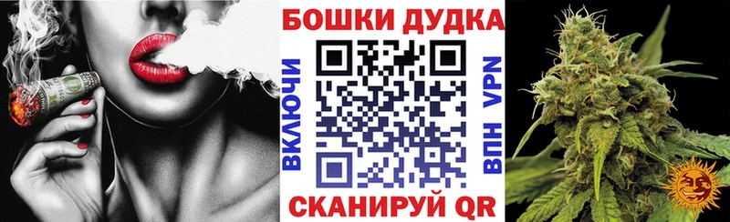 купить   Злынка  Канабис Ganja 